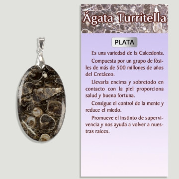 AGATE TURRITELA Pendentif en argent - Forme assortie