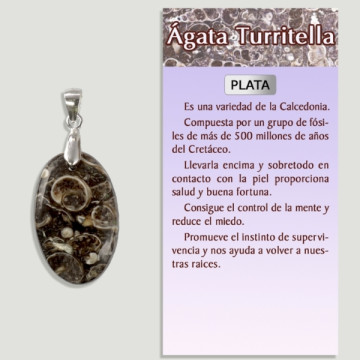 AGATE TURRITELA Pendentif en argent - Forme assortie