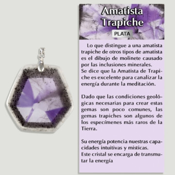 PLAQUE TRAPICHE AMETHYSTE Pendentif argent - Forme assortie