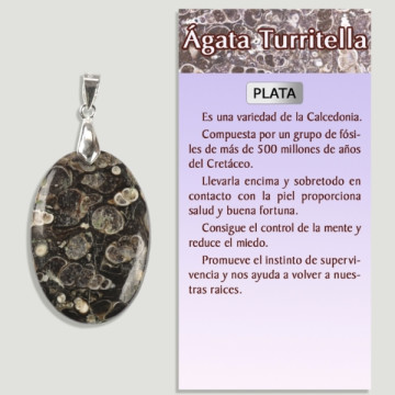 AGATE TURRITELA Pendentif en argent - Forme assortie