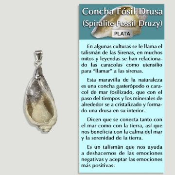 Pingente de prata DRUSE FOSSIL SHELL - Forma variada