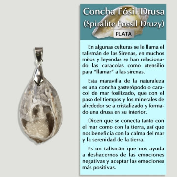 Pingente de prata DRUSE FOSSIL SHELL - Forma variada