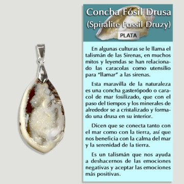 Pingente de prata DRUSE FOSSIL SHELL - Forma variada