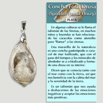 DRUSE FOSSIL SHELL Silver pendant - Assorted shape