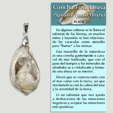 Pingente de prata DRUSE FOSSIL SHELL - Forma variada