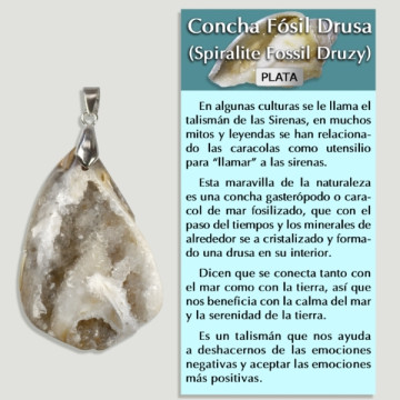 DRUSE FOSSIL SHELL Silver pendant - Assorted shape