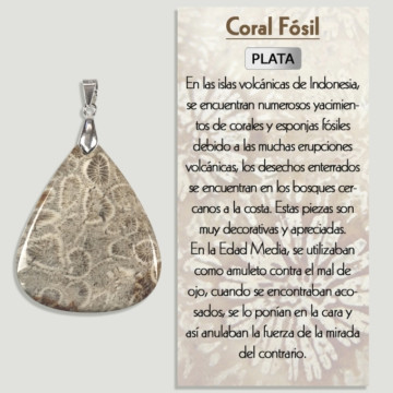 FOSSIL CORAL Pendentif en argent – ​​Forme assortie