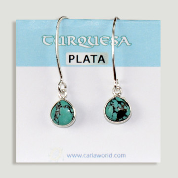 Silver Turquoise cabochon fish hook earrings