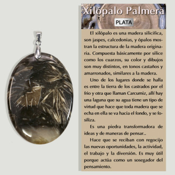 Xilopalo Silver Pendant free form