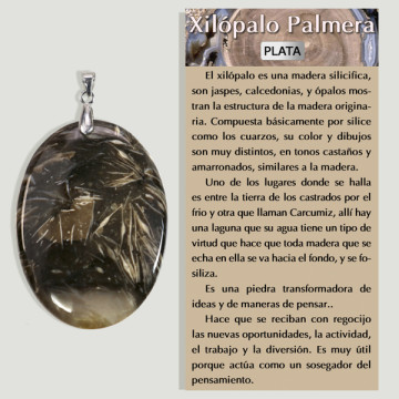 Pendentif Xilopalo en Argent forme libre