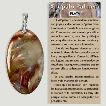 Pendentif Xilopalo en Argent forme libre