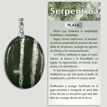 Colgante Plata Serpentina platea forma libre