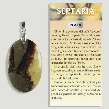 Pendentif Septarea en Argent forme libre