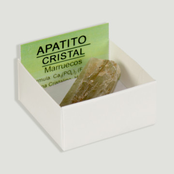 Boîte 4x4 - Grand cristal vert Apatite - Maroc