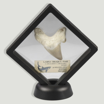 Adaptable frame 9x9 - Shark Tooth 5/7cm