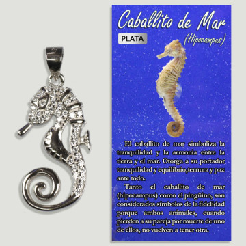 Seahorse. SILVER pendant. 12x23mm