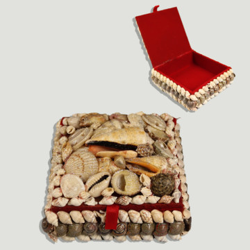 Caja conchas cuadrada. 9 cm aprox