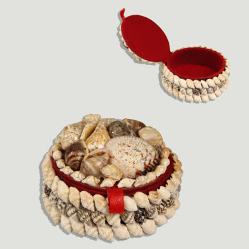 Round shell box. 6cm approx