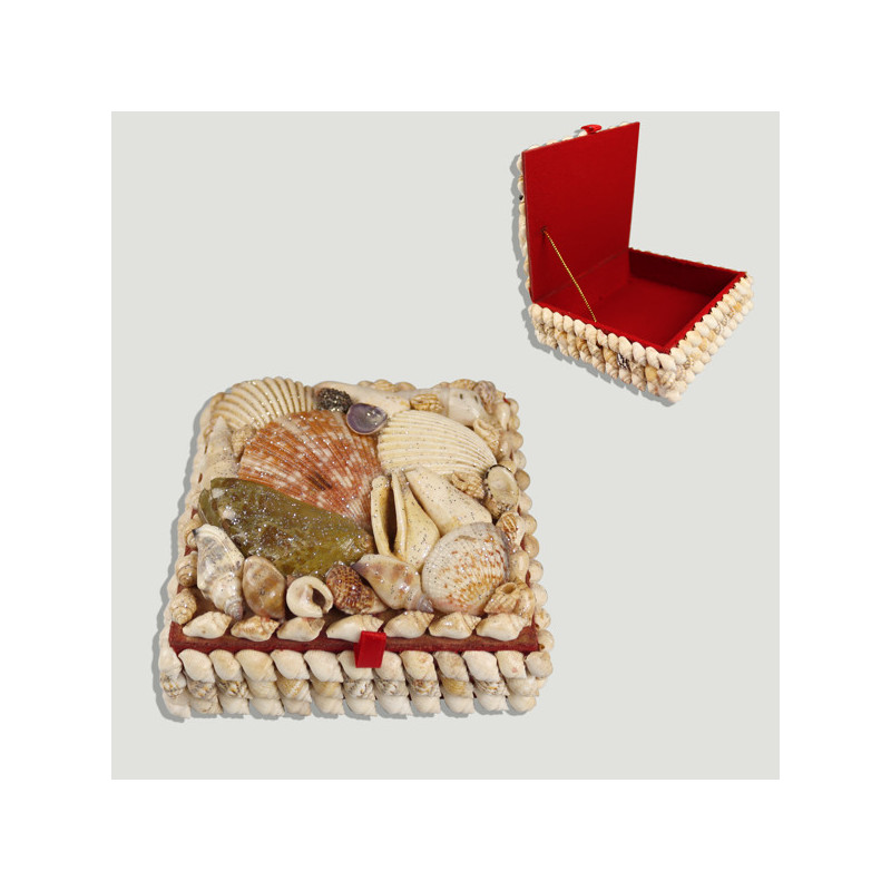 Caja conchas cuadrada. 11,5 cm aprox Caja conchas cuadrada. 11,5 cm aprox