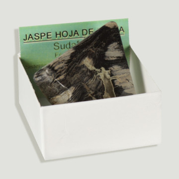 4x4 box - Silver Leaf Jasper - South Africa.