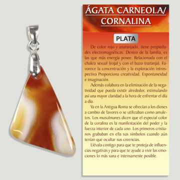 ÁGATA VERMELHA COM FAIXAS. Pingente PRATA. Formas variadas.