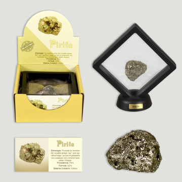 Authentic mineral collection. Pyrite.