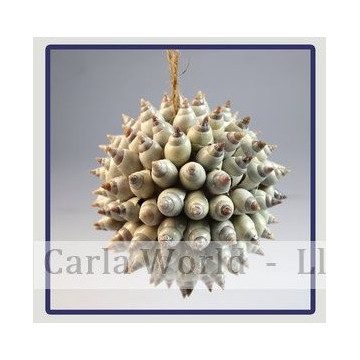 Balls with shells. 9-10cm.