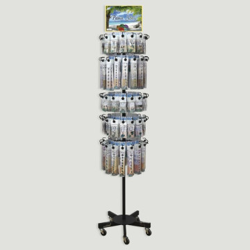 PAUA SHELL. Expositor con...