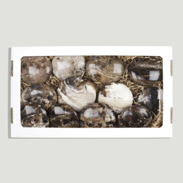 Piedra Meditación Opalo Negro 1Kg