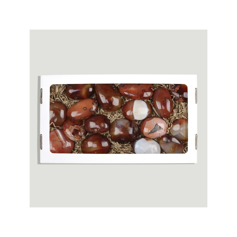 Pedra de Meditação Carneola. caixa de 1kg Pedra de Meditação Carneola. caixa de 1kg