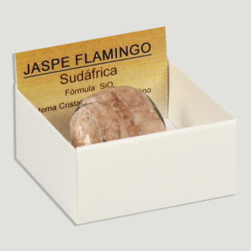4x4 Box. Flamingo Jasper Flat Tumbled from South Africa