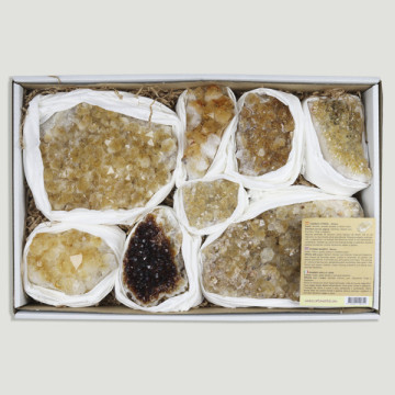 Citrine Druse, cut base. 3.5-4 kg. approx. Box 33x22 cm