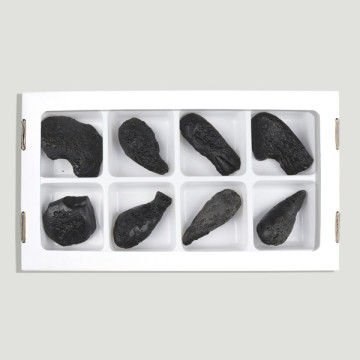 Tektite Meteorite 4.5-6cm approx. - (H 8)
