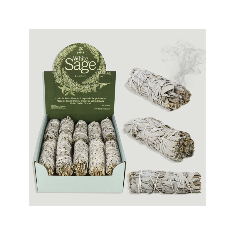 California White Sage Bundle. Approx. 4 x 11 cm California White Sage Bundle. Approx. 4 x 11 cm