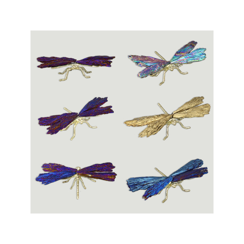 Gold-plated metal dragonfly taramita. Assorted colors. Approx. 4.5cm. Gold-plated metal dragonfly taramita. Assorted colors. Approx. 4.5cm.