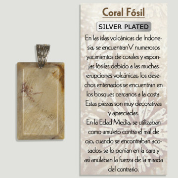 FOSSIL CORAL. Silver-plated pendant. Assorted shapes