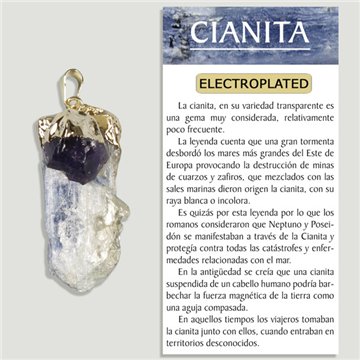 KYANITE and AMETHYST. GOLD ELECTROPLATED Pendant. Natural point.