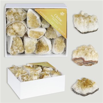 Mineral Box MINI. Citrine Druzy. 8x10x4cm