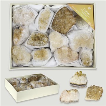 Mineral Box. Drusa Citrina. 17x13x4cm