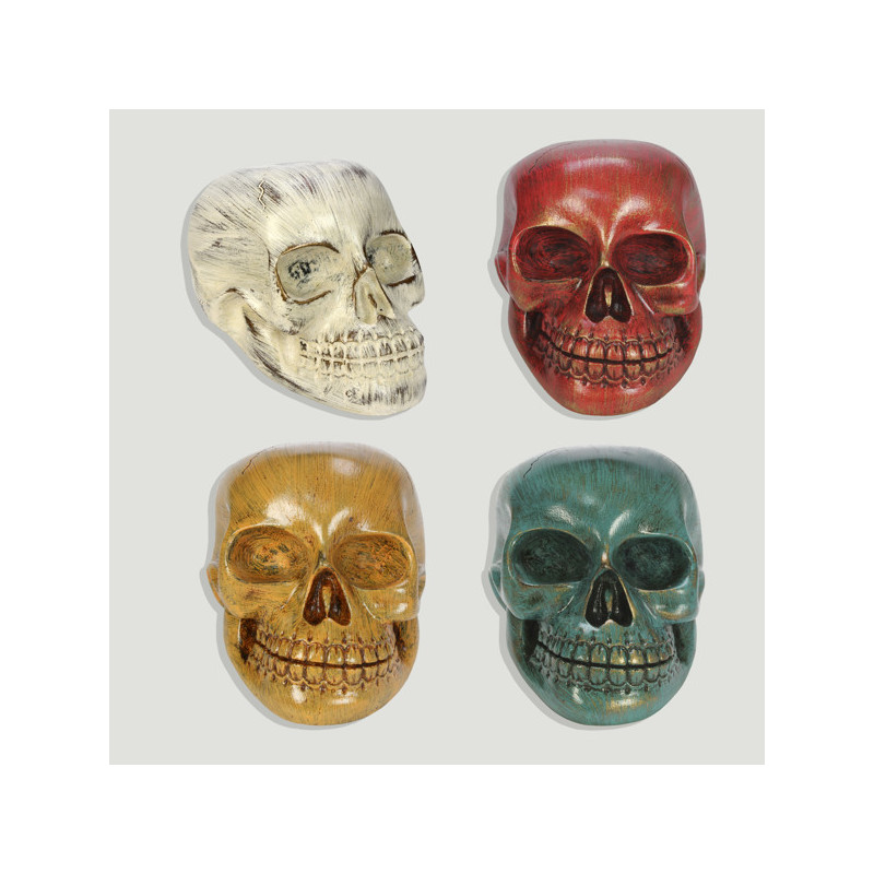 Skull resin smooth. Assorted colors. 12X12x18cm Skull resin smooth. Assorted colors. 12X12x18cm