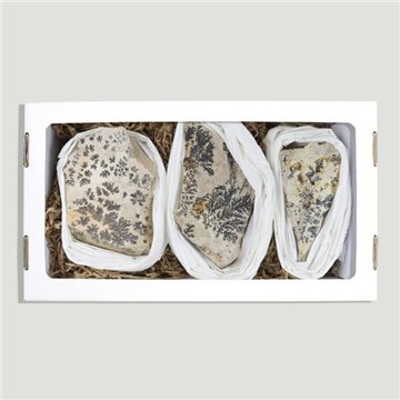 Pyrolusite dentritique. Boîte 26x14x7cm