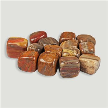 Saco de rodas. Fóssil Xilopal. 250 gr.