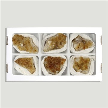 Drusa Citrina. 6-7 cm