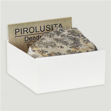 Caixa 4x4 - Pirolusita Dentritica - Tarragona (Espanha)