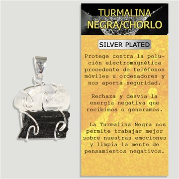 TOURMALINE and CRYSTAL QUARTZ. Silver-plated Pendant. Double rough stone