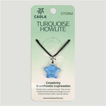 Turquoise Howlite. Pendant Star