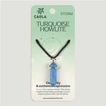 Turquoise Howlite. Pendant Double Terminated Point