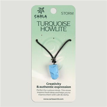 Turquoise Howlite. Pendant Round