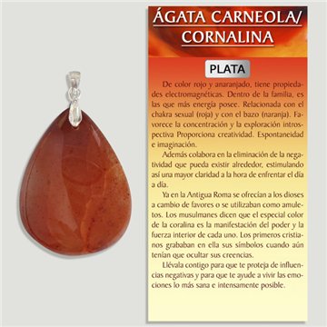 AGATE CARNÉOLE. Pendentif en argent. Formes assorties