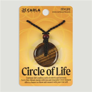 CIRCLE of LIFE. Disc pendant. Tiger's Eye. 30/35mm